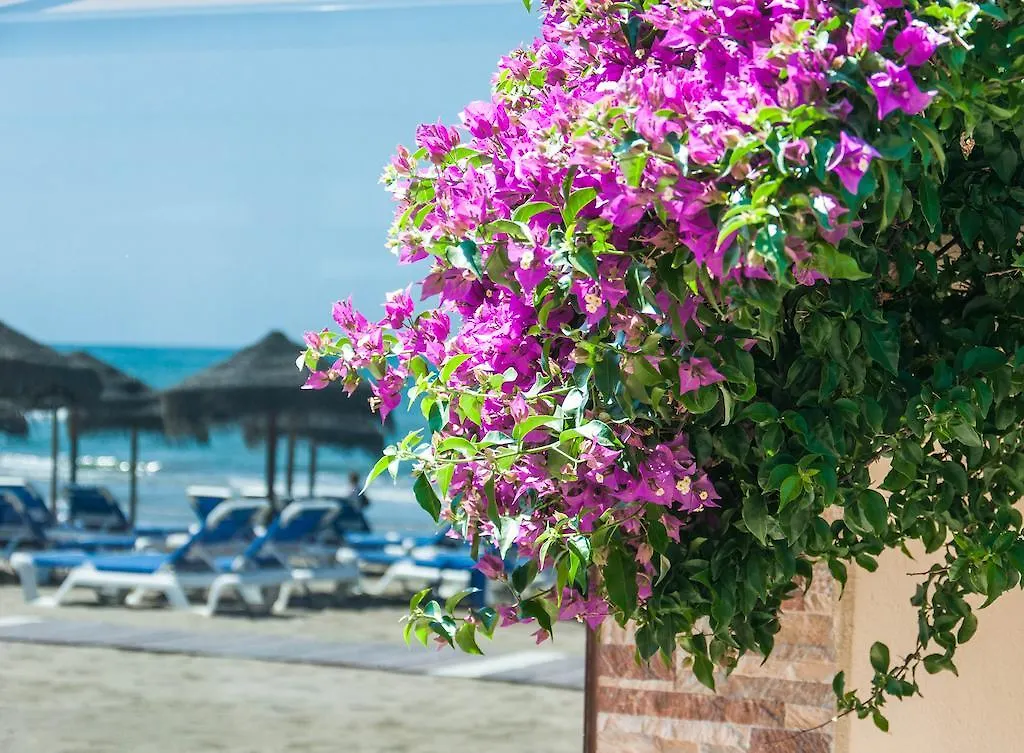Bed & Breakfast Sunny Dom Boutique Hotel Marbella