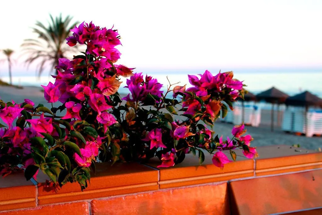Sunny Dom Boutique Hotel Marbella Bed & Breakfast